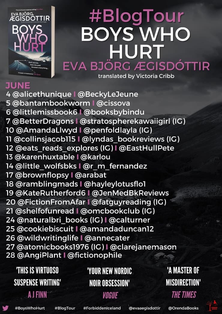 Boys Who Hurt blog tour banner