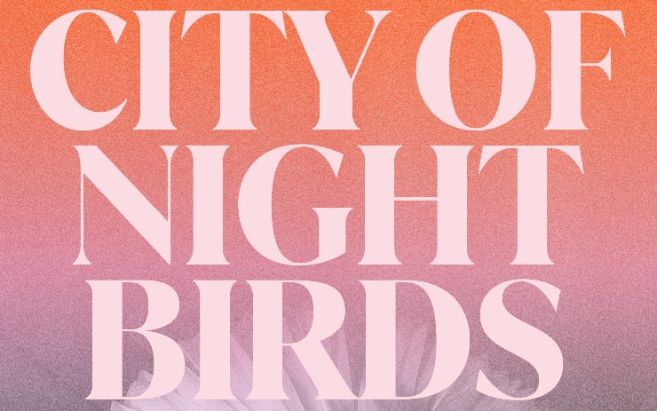 City of Night Birds